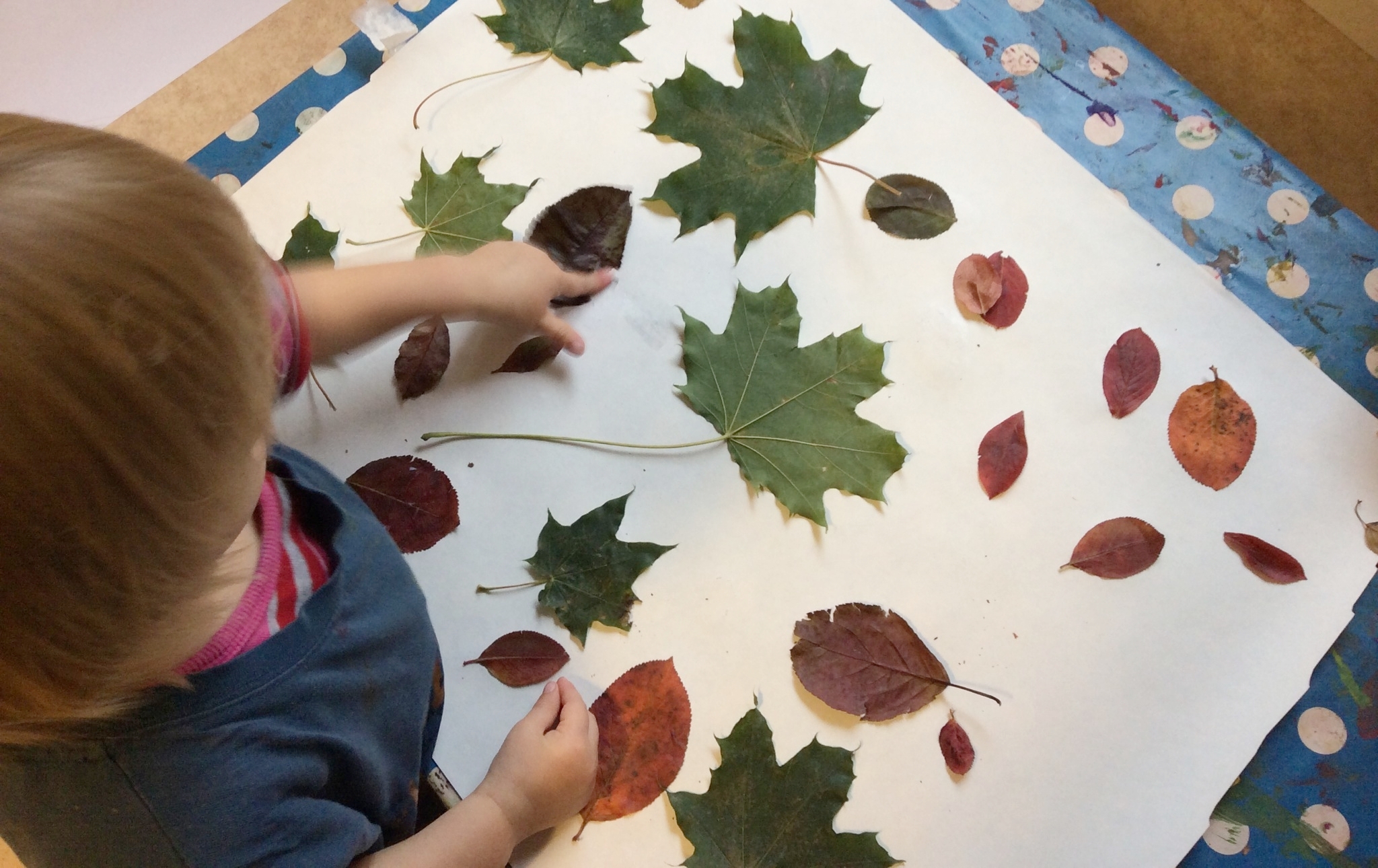 Kreativ förskola i Solna Järvastaden